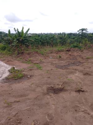 Metaland, Odolewu, Ijebu Ode, Ogun, Land for Sale