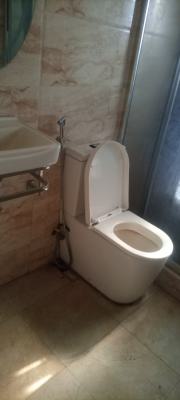 Fully Furnished Three (3) Bedroom Duplex, Newsite Estate, Lugbe Fha Abuja, Lugbe District, Abuja, Flat / Apartment for Rent