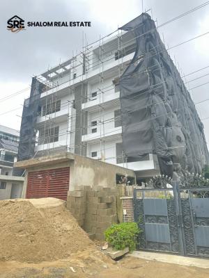 Uniquely-built Luxury Spacious 2-bedroom Apartment  (1 Unit Left ), Ikate, Lekki, Lagos, Terraced Duplex for Sale