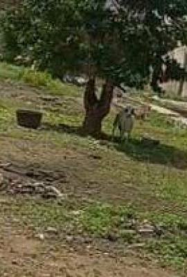 Full Plot of Land450sqm, Off Ishaga, Surulere, Lagos, Residential Land for Sale