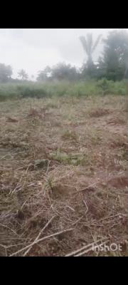 1 Plot of Mixed Use Land, Talara Oke Community, Igbonla Village, Ilara Town, Epe, Lagos, Mixed-use Land for Sale