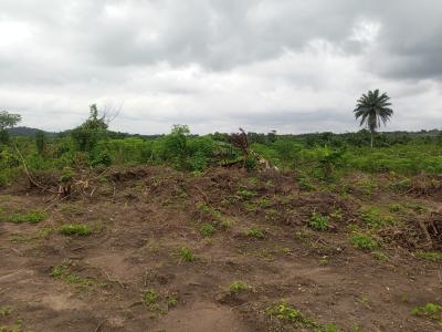 Land with Registered Survey and Deed of Assignment, Along Epe Tollgate Expressway, Ijebu Ode, Ogun, Mixed-use Land for Sale