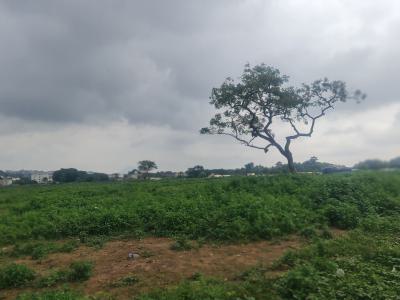 Prime 1206sqm Fenced & Gated Plot in Maitama Ii with C of O, By Primary School, Maitama 2, Maitama District, Abuja, Residential Land for Sale