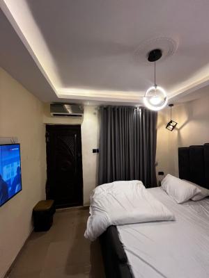 Lovely 1 Bedroom Studio Apartment, Pedro, Gbagada, Lagos, House Short Let