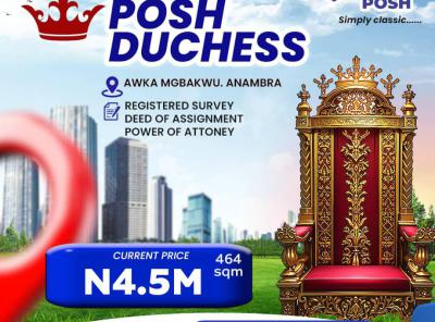 Mixed Use Land, * Posh Duchess* Mgbakwu Awka North, 10 Minutes to New Govt House, Awka, Anambra, Mixed-use Land for Sale