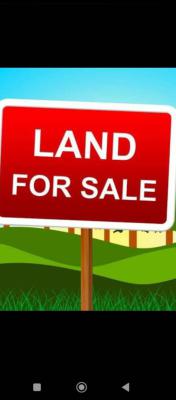 Land: 12,143sqm, Aggrey Road, Herbert Macaulay Way, Yaba, Lagos, Residential Land for Sale