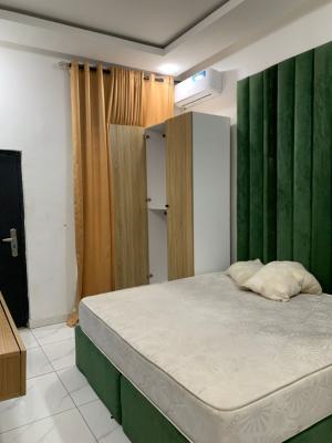 Exclusive Smart Furniture 2 Bedroom Apartment, Ologolo, Lekki, Lagos, House for Rent