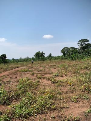 5000sqm Jv Plot, By Durumi Recreational Park, Durumi, Abuja, Residential Land Joint Venture
