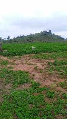 3 Bedroom Terrace Duplex, Estora Residence,garri Where Road Close to Galuyi Secondary School., Maitama 2, Maitama District, Abuja, Residential Land for Sale
