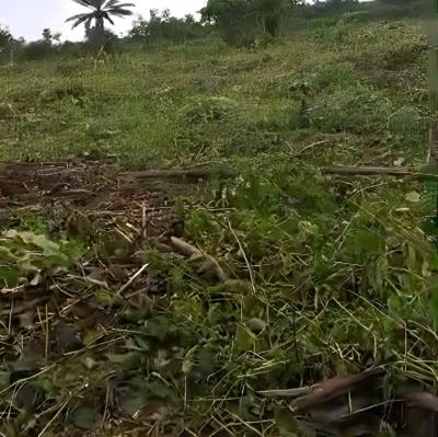 Dry Estate Land, Elerangbe, Ibeju Lekki, Lagos, Land for Sale