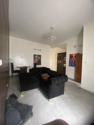 Serviced 2 Bedroom Flat, Ikate Lekki Lagos, Ikate, Lekki, Lagos, Flat / Apartment for Rent