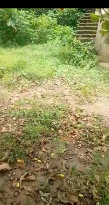 4 Plots of Land, Akesan, Igando, Alimosho, Lagos, Land for Sale