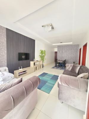 Luxurious and Standard Fully Furnished 2 Bedroom Flat, Lekki Phase 1, Lekki, Lagos, Flat / Apartment for Rent