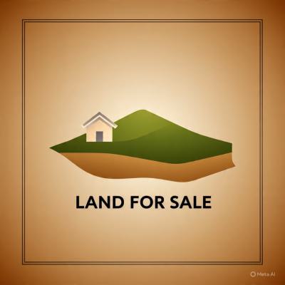Spacious Massive Luxury Land, Secure Commercial Good Location Nico Town Ikate Lagos, Lekki Phase 1, Lekki, Lagos, Mixed-use Land for Sale