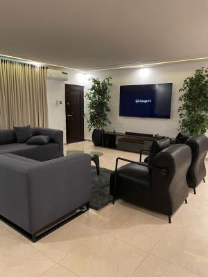 Affordable 3 Bedroom Fully Funished with Electronic Apartment, Ikate, Lekki, Lagos, Block of Flats for Sale
