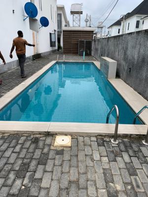 Luxury 4 Bedroom Terrace Duplex with Pool, Fully Serviced, Hampton Hills Estate, Orchid Road, Lekki Expressway, Lekki, Lagos, Detached Duplex for Rent