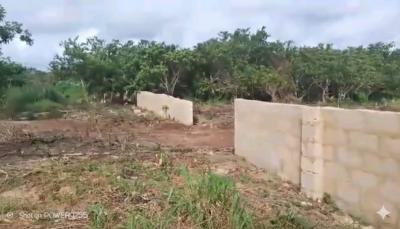 Fenced Dry Land with Fast Allocation, Igbodu, Epe, Lagos, Land for Sale