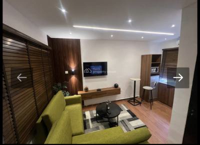 Fully Furnished Mini Flat, Lekki Phase 1, Lekki, Lagos, Flat / Apartment for Rent