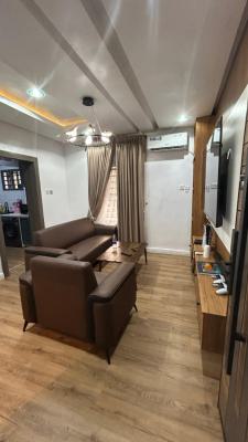 Furnished 1 Bedroom Miniflat (1st Floor), Ikoyi, Lagos, Mini Flat (room and Parlour) for Rent