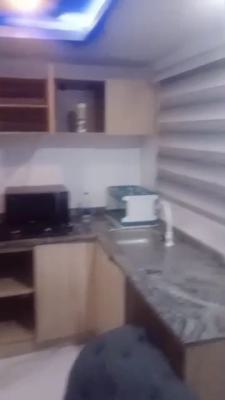a Mini Apartment, Vi, Victoria Island (vi), Lagos, Flat / Apartment for Rent