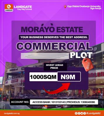 Lucrative Commercial Plots, Morayo Estate, Opp. Olabisi Onabanjo University, Ago-iwoye, Km 46, Ogun, Commercial Land for Sale