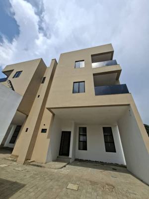 Fully Fitted and Service 4 Bedroom Semi-detached Duplex with Bq, Asokoro District, Abuja, Semi-detached Duplex for Rent