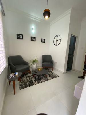 Fully Furnished Mini Flat in Blenco Ajah, Blenco Sangotedo Ajah, Sangotedo, Ajah, Lagos, Flat / Apartment for Rent