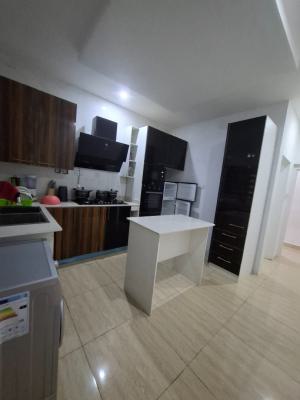 Serviced and Standard Two Bedroom Apartment, Guzape District, Abuja, Flat / Apartment for Rent