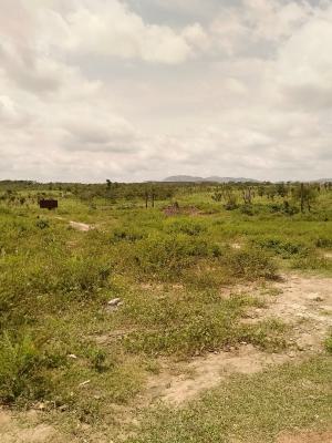 1 Hectare Multi Purpose Land Cleared and Ready to Build, Jikwoyi, The Layout Behind Dagbana., Phase 3, Jikwoyi, Abuja, Mixed-use Land for Sale