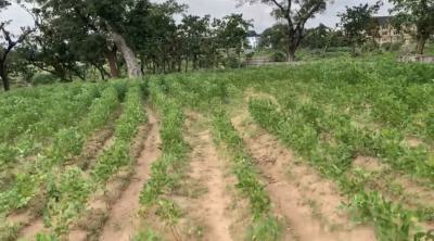 1049 Sqm Land, Kaura, Abuja, Residential Land for Sale