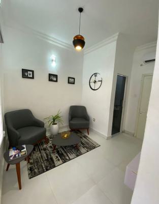Furnished 1 Bedroom Mini Flat Apartment, Sunshine Garden Estate, Sangotedo Ajah Lekki Lagos, Ajah, Lagos, Mini Flat (room and Parlour) for Rent