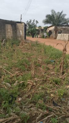 a Plot of Land, Elepe/ijede Road, Ikorodu, Lagos, Land for Sale