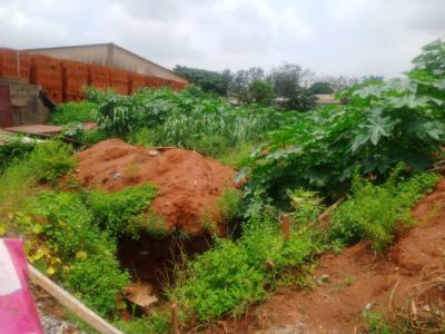 Prime 550sqm of Development Land, Oregun, Ikeja, Lagos, Land for Sale