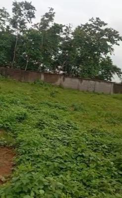 1800sqm of a Residential Land, Jahi, Abuja, Residential Land for Sale