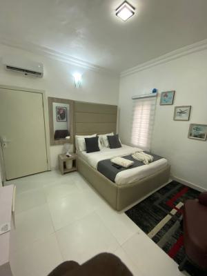 Executive 1bedroom Luxury Furnished Apartment, Sangotedo, Ajah, Lagos, Mini Flat (room and Parlour) for Rent