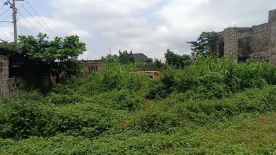 3 Plots Together Inside Mercyland Estate,ipaja Lagos, Mercyland Estate,atan Kekere,oluwaga B/stop, Baruwa, Ipaja, Lagos, Mixed-use Land for Sale