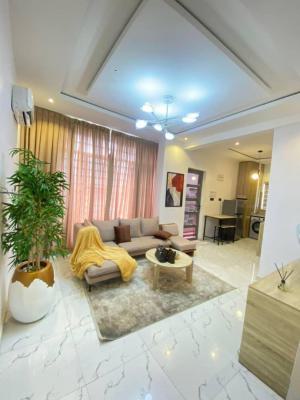 1 Bedroom Apartment Neat and Cozy, Ologolo, Lekki, Lagos, Flat / Apartment Short Let
