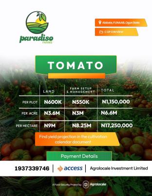 a Sustainable Pathway to Land Ownership and Profitable Farming, Fast Moving Crops with The Assurance of Timely Harvest, Abeokuta North, Ogun, Commercial Land for Sale
