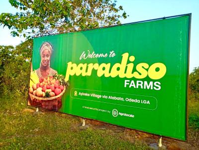 a Sustainable Pathway to Land Ownership and Profitable Farming, Abeokuta North, Ogun, Commercial Land for Sale