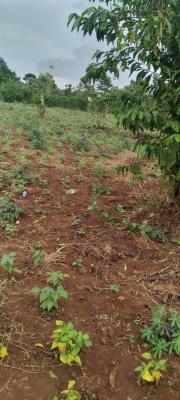 1.02ha Mbora Jv Plot, Mbora, Mbora (nbora), Abuja, Residential Land Joint Venture