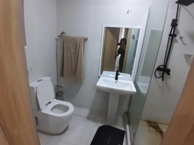 Fully Furnished 2 Bedroom Apartment in a Good Location, Mini Estate Illasan Road Lekki, Lekki, Lagos, Flat / Apartment for Rent