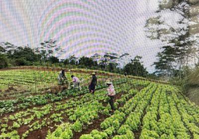 Productive Commercial Farm on 1,188,800sqm of Uncontaminated Land, Dobi Area, Gwagwalada, Abuja, Commercial Property for Sale