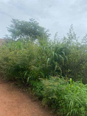 Over 501 Sqm Plot of Land Available, Veritage Estate Trans Ekulu, Enugu, Enugu, Residential Land for Sale