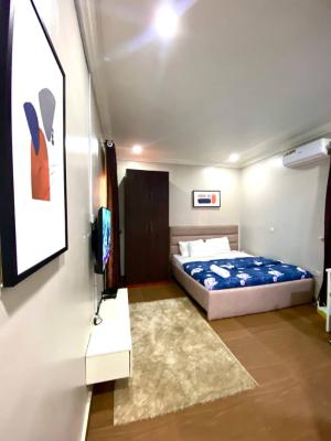 Luxury Studio Apartment with Excellent Facilities, Wuye, Abuja, Self Contain (single Rooms) Short Let