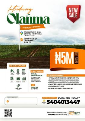 Affordable Land with Certificate of Occupancy C of O, Olanma Strategically Located at Otulu/atuma-igba, Oshimili North Lga,, Aniocha North, Delta, Residential Land for Sale