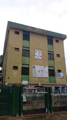 Luxury 11 Flats and 2 Warehouse Facing The Major Road, Agbado Station Road, Ijaiye, Lagos, Block of Flats for Sale