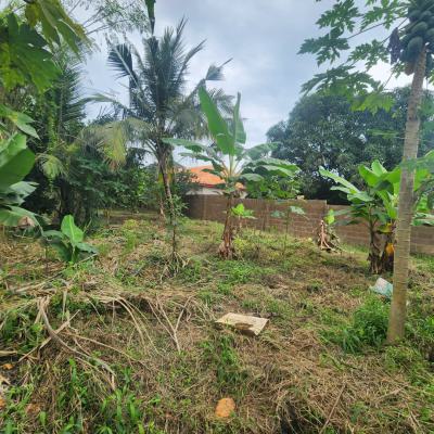 Fenced and Gated One and Half Plot of Land, Jericho Extension, Jericho, Ibadan, Oyo, Residential Land for Sale