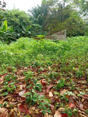 4 Plots Available, Customary Court of Appeal,alpha Beta Hospital, Iyaganku, Ibadan, Oyo, Land for Sale