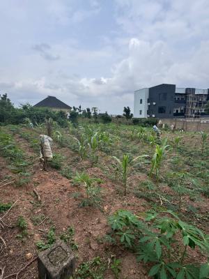 391 Sqms Land, Kolapo Ishola Gra, Akobo, Ibadan, Oyo, Residential Land for Sale