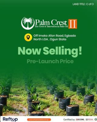 C of O, Ogun State, Km 46, Ogun, Commercial Land for Rent